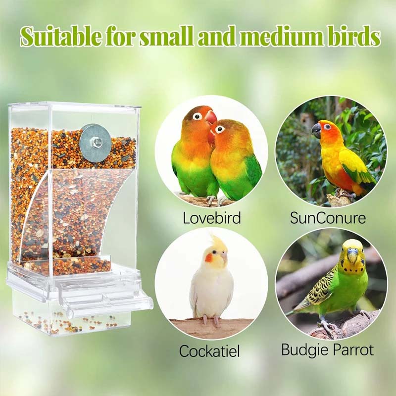 HappyBird Feeder™ | Immer frisches Futter, ohne sich zu quälen!